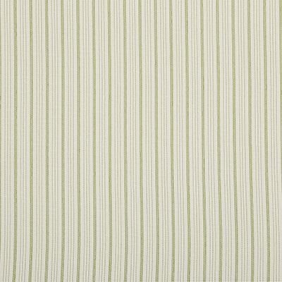Pindler RICHARDSON MATCHA Fabric