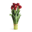 Napa  PEONY TULIP BUNDLE DROP-IN 23.5"