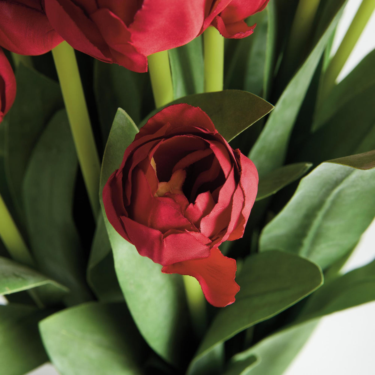 Napa  PEONY TULIP BUNDLE DROP-IN 23.5"