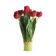 Napa  PEONY TULIP BUNDLE DROP-IN 18"