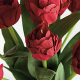 Napa  PEONY TULIP BUNDLE DROP-IN 18"