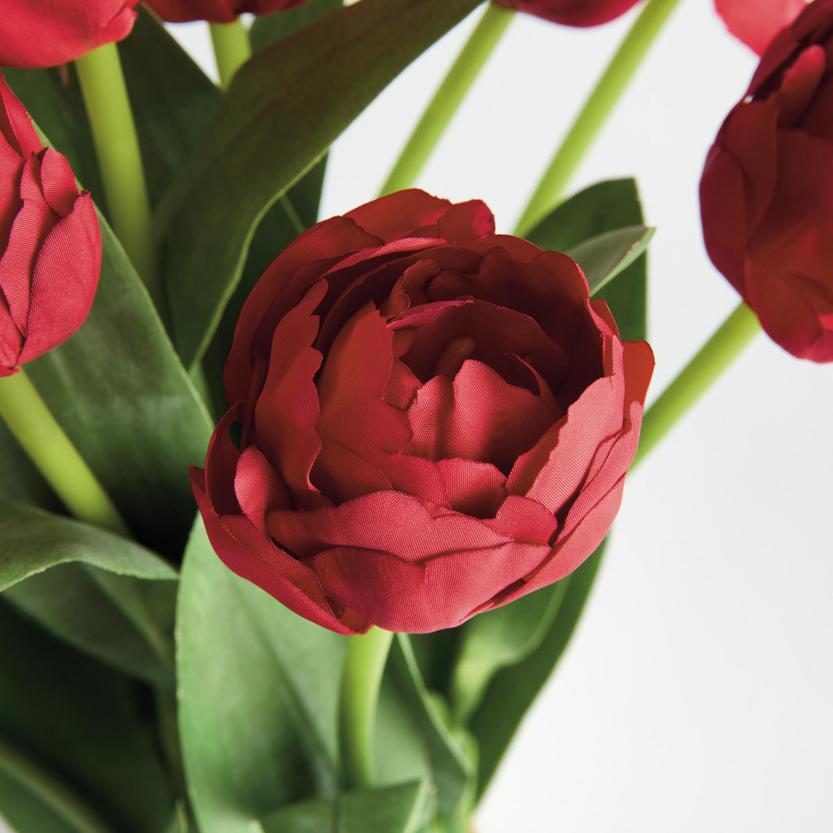 Napa  PEONY TULIP BUNDLE DROP-IN 18"