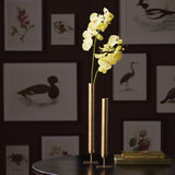 Napa  HENRI TALL VASES ST/2