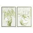 Napa  GREENERY IN CHINOISERIE GICLEES ST/2