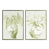 Napa  GREENERY IN CHINOISERIE GICLEES ST/2