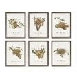 Napa  ASSORTED BIRD NEST STUDY ST/6
