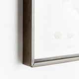 Napa  ASSORTED BIRD NEST STUDY ST/6
