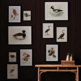 Napa  ASSORTED BIRD NEST STUDY ST/6