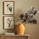 Napa  ASSORTED PRESSED FLOWER STUDY ST/4