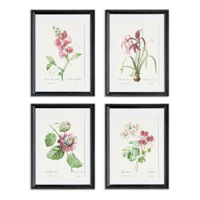 Napa  BLUSH BLOOMS STUDY ST/4