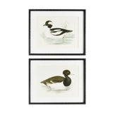 Napa  WADING DUCK PRINTS ST/2