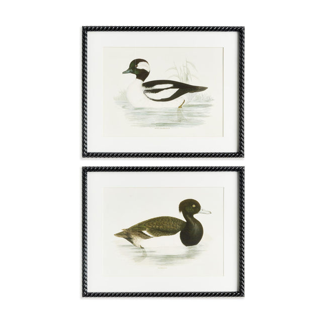 Napa  WADING DUCK PRINTS ST/2