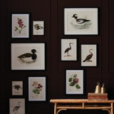Napa  WADING DUCK PRINTS ST/2