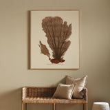 Napa  CORAL FAN GICLEE