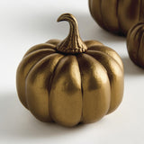 Napa  SCULPTED PUMPKINS ST/3