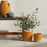 Napa  MAISHA POTS ST/2