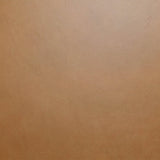 LH Home Dakota Dining Chair - Tan