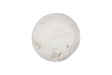 Phillips Collection Cast Root Floor Ball, SM Roman Stone Decorative Accent