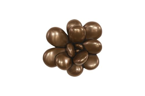 Phillips Collection Oviferum Succulent Imperial Bronze Wall Art