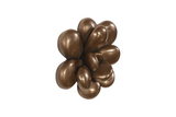 Phillips Collection Oviferum Succulent Imperial Bronze Wall Art