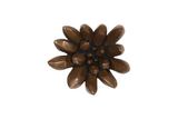 Phillips Collection Compactum Succulent Imperial Bronze Wall Art