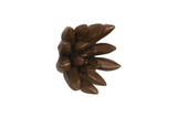 Phillips Collection Compactum Succulent Imperial Bronze Wall Art