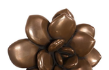 Phillips Collection Laui Succulent Imperial Bronze Wall Art