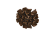 Phillips Collection Topsy Turvy Succulent Imperial Bronze Wall Art