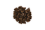 Phillips Collection Topsy Turvy Succulent Imperial Bronze Wall Art