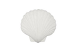 Phillips Collection Sea Shell White Stone Wall Art