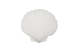 Phillips Collection Sea Shell White Stone Wall Art