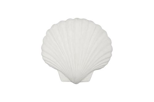 Phillips Collection Sea Shell White Stone Wall Art