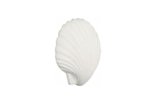 Phillips Collection Sea Shell White Stone Wall Art