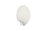 Phillips Collection Sea Shell White Stone Wall Art