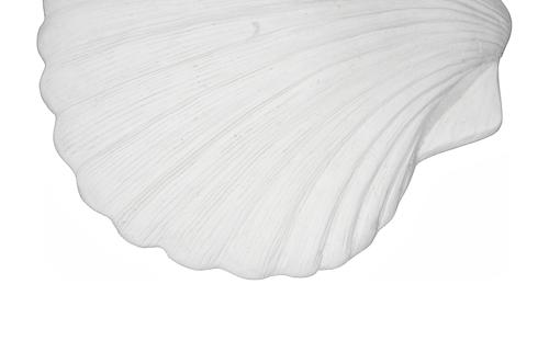 Phillips Collection Sea Shell White Stone Wall Art