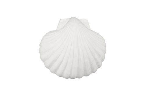 Phillips Collection Sea Shell White Stone Wall Art