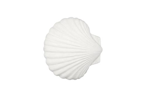 Phillips Collection Sea Shell White Stone Wall Art