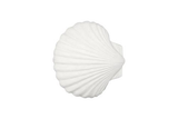 Phillips Collection Sea Shell White Stone Wall Art