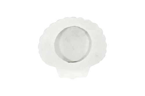 Phillips Collection Sea Shell White Stone Wall Art
