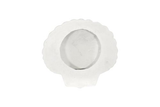 Phillips Collection Sea Shell White Stone Wall Art