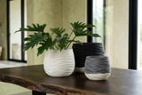 Phillips Collection Wavy , Two Tone LG Vase