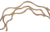 Phillips Collection Vine Rings Set of 2 Accent