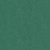 Advantage Riomar Green Distressed Texture Wallpaper