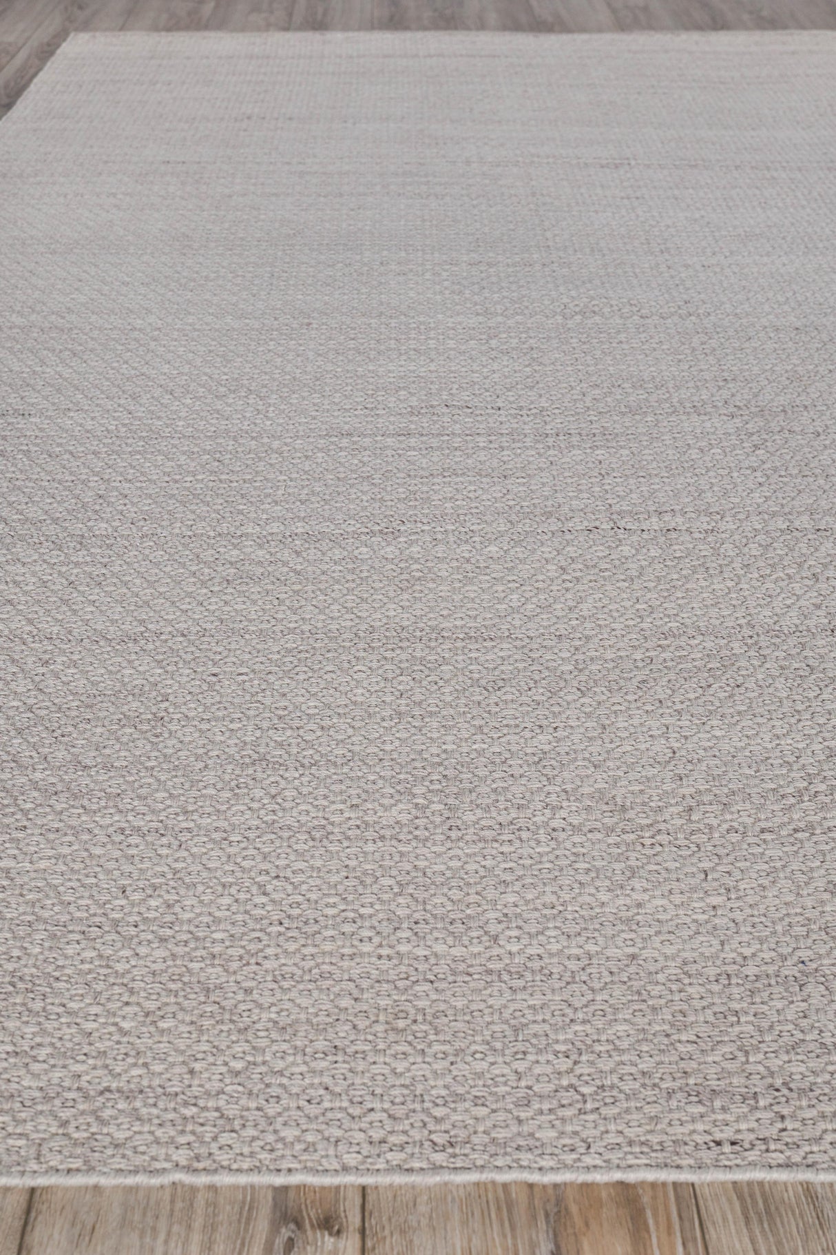 Exquisite Rugs Gamma flatweave PET 4886 Beige 6' x 4' Area Rug