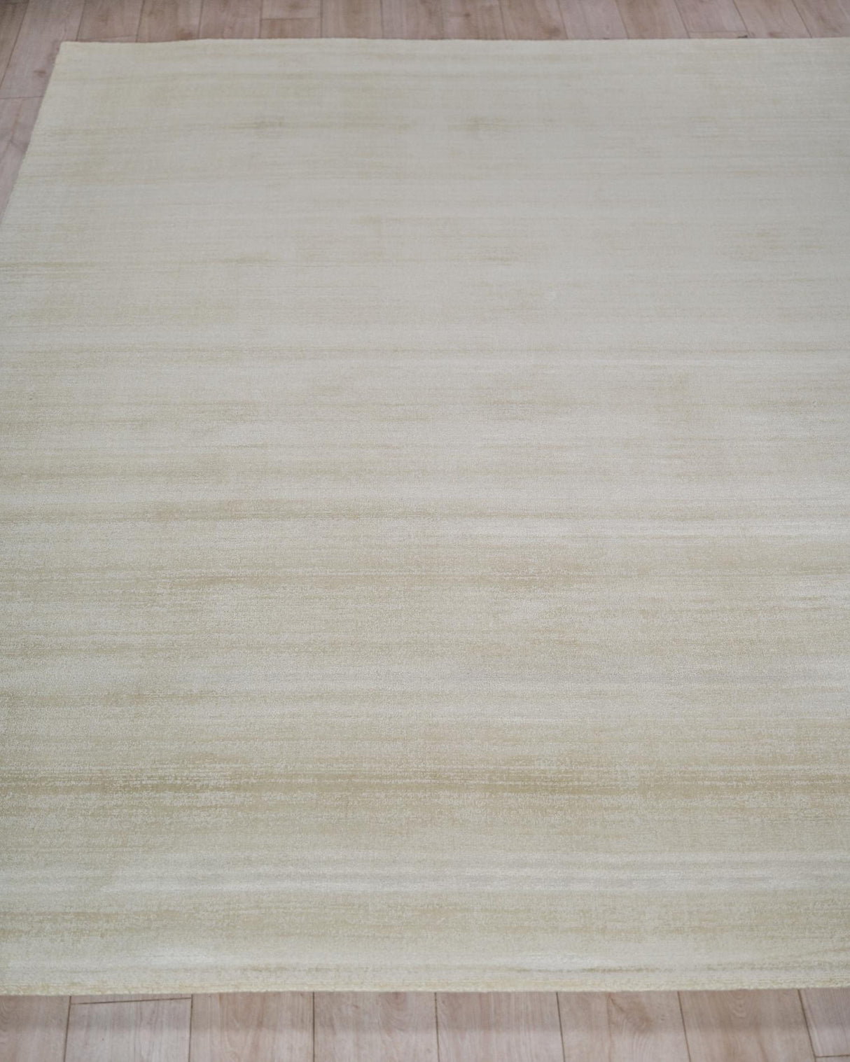Exquisite Rugs Martelli Modern handloomed Silky Nylon 6517 Light Beige 3' x 2' Area Rug