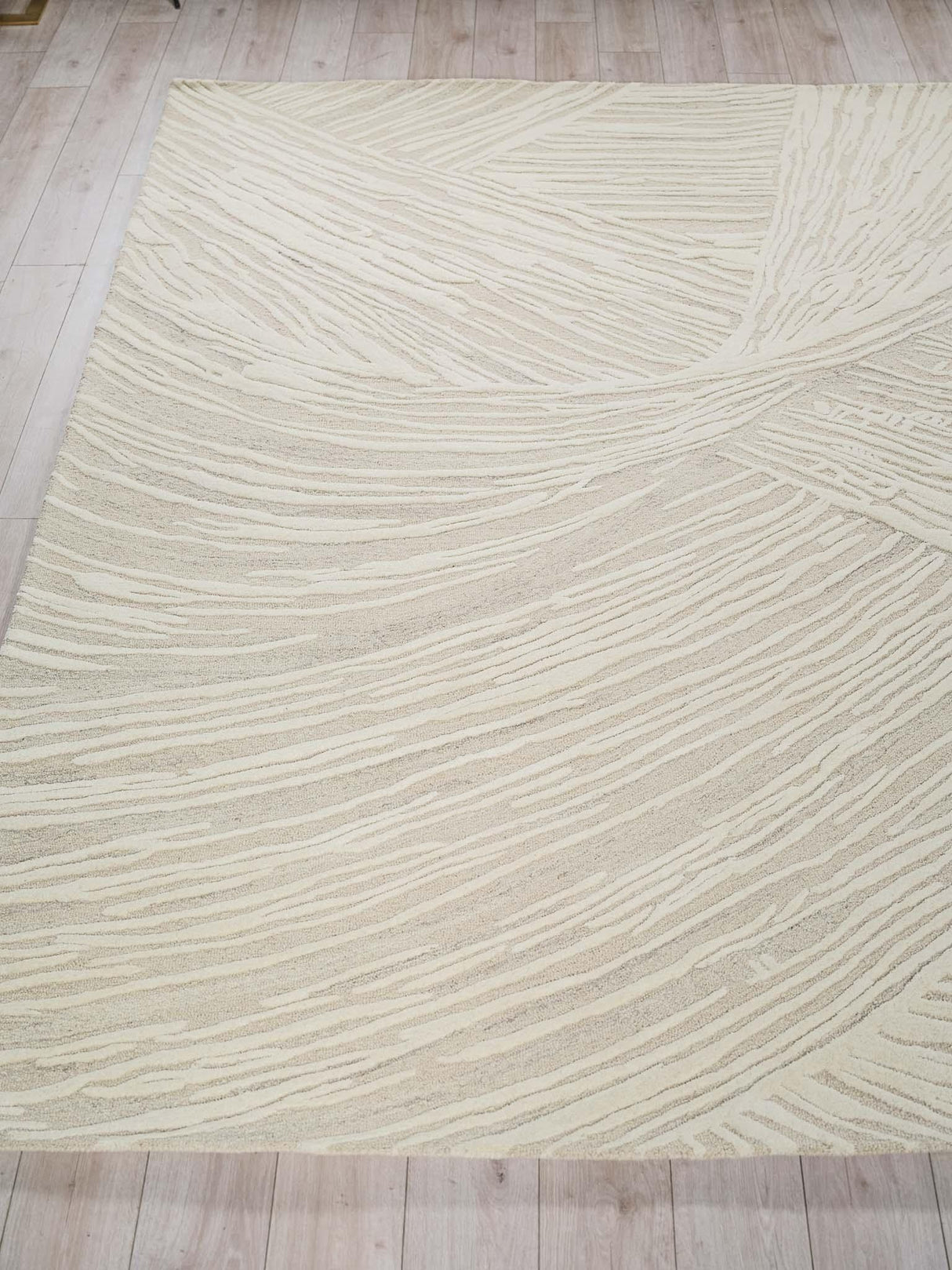 Exquisite Rugs Entro hand-tufted New Zealand Wool 7320 Beige/Ivory 10' x 8' Area Rug
