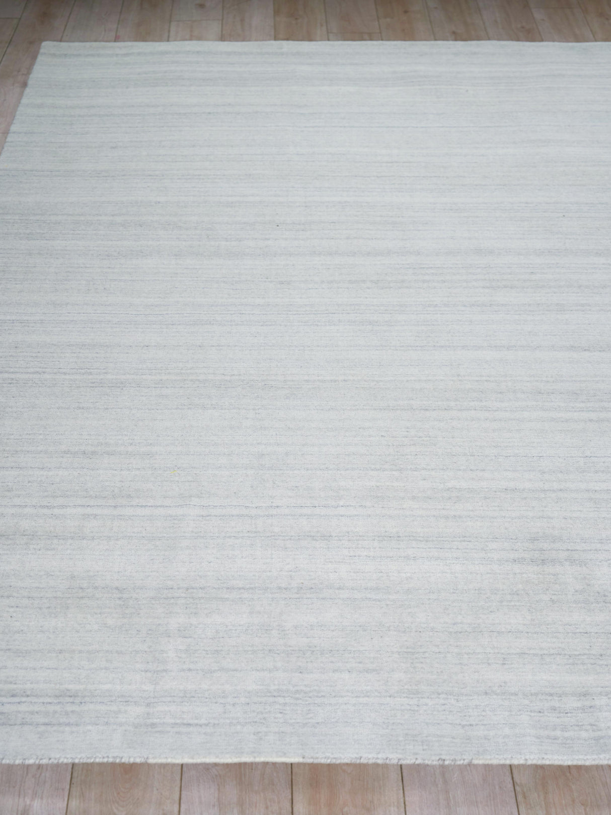 Exquisite Rugs Serenity handloomed PET 7388 Light Grey/Ivory 14' x 10' Area Rug