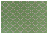Exquisite Rugs Flatweave flatweave New Zealand Wool 9621 Mint 8' x 5' Area Rug