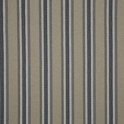 Pindler BENSON DENIM Fabric