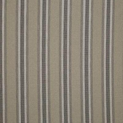 Pindler BENSON GREYSTONE Fabric